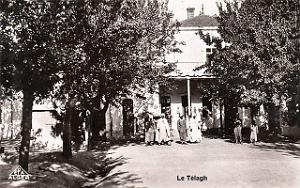 TELAGH 609